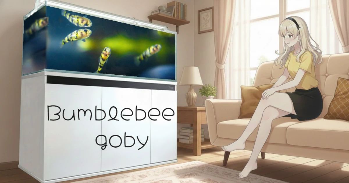 バンブルビーゴビー類